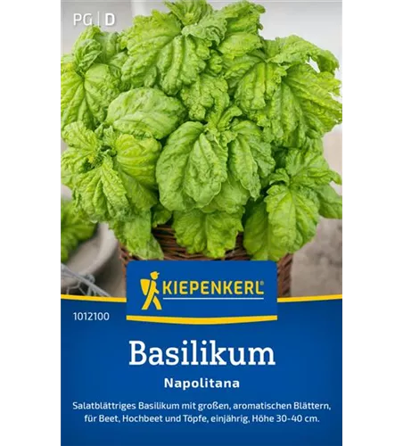Basilikum Napolitana