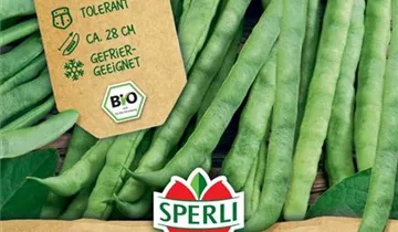 Bildvorschau