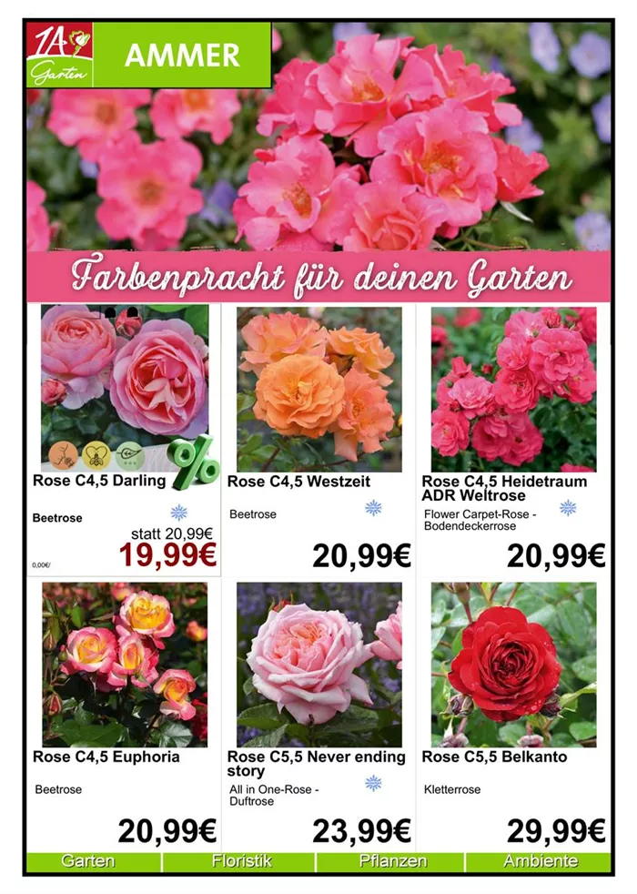 Monatsangebot Rosen April - 1.jpg