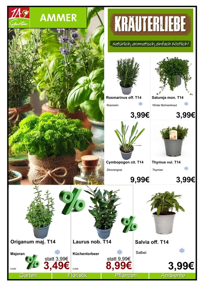 Monatsaktion Kräuter April - 1.jpg