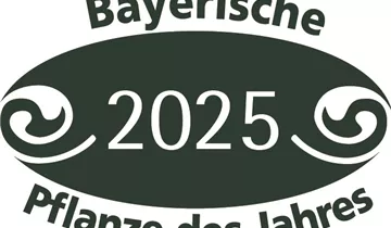 Bildvorschau