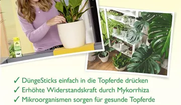Bildvorschau
