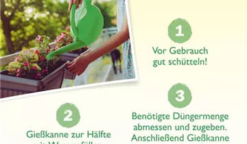 Bildvorschau