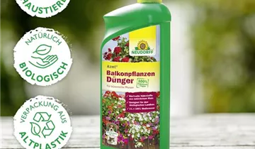 Bildvorschau