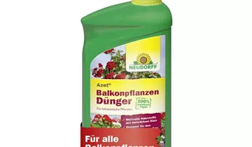 Bildvorschau