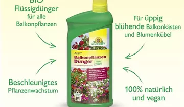 Bildvorschau