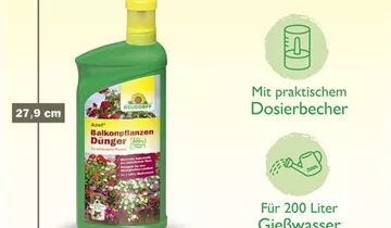 Bildvorschau