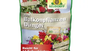 Bildvorschau