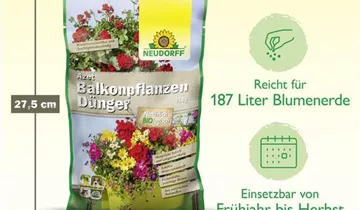 Bildvorschau