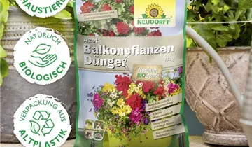 Bildvorschau