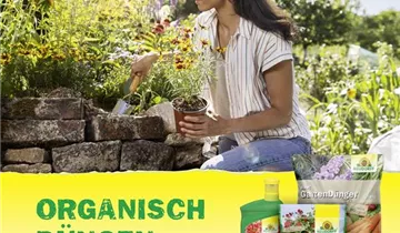Bildvorschau