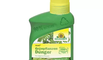Bildvorschau