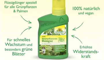 Bildvorschau