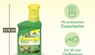 Bildvorschau