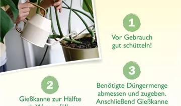 Bildvorschau
