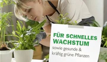 Bildvorschau