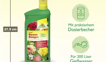 Bildvorschau