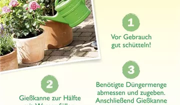 Bildvorschau