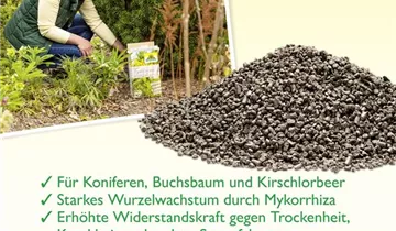 Bildvorschau