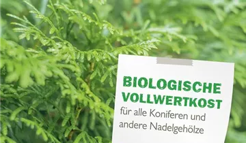 Bildvorschau