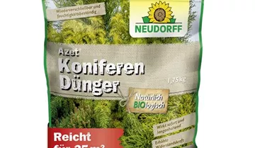 Bildvorschau