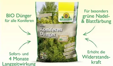Bildvorschau