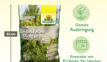 Bildvorschau