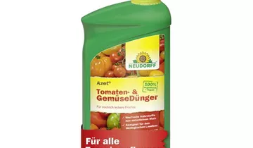 Bildvorschau
