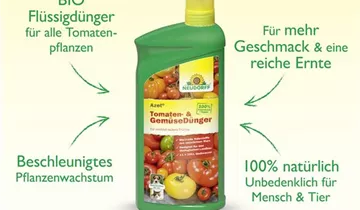 Bildvorschau