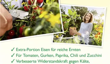 Bildvorschau