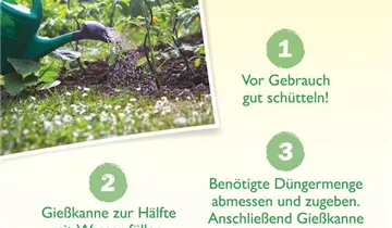 Bildvorschau
