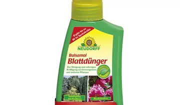 Bildvorschau