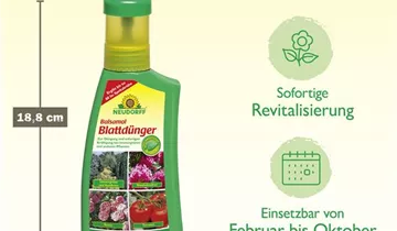 Bildvorschau