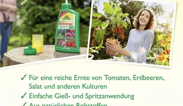 Bildvorschau