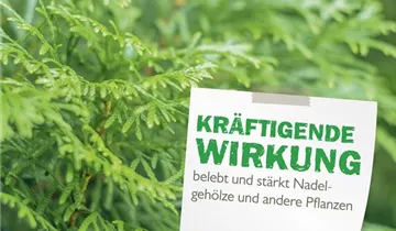 Bildvorschau