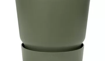 Bildvorschau