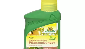 Bildvorschau