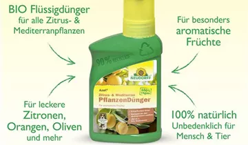 Bildvorschau