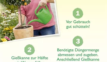 Bildvorschau