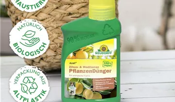 Bildvorschau