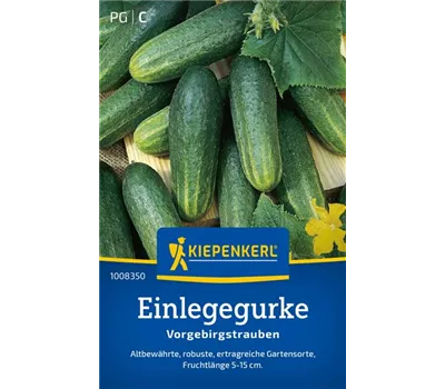 Einlegegurke Vorgebirgstrauben