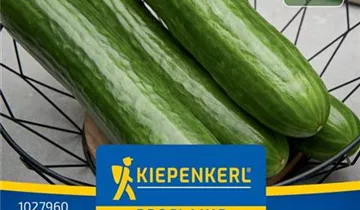 Bildvorschau