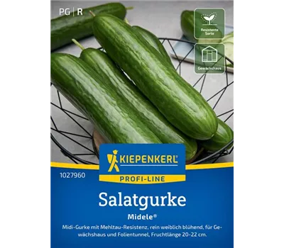 Salatgurke Midele F1