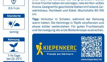 Bildvorschau