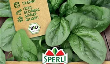 Bildvorschau