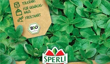 Bildvorschau