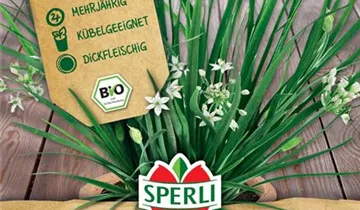 Bildvorschau