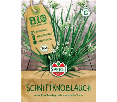 BIO Schnittknoblauch