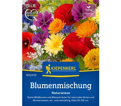 Blumenmischung Naturwiese