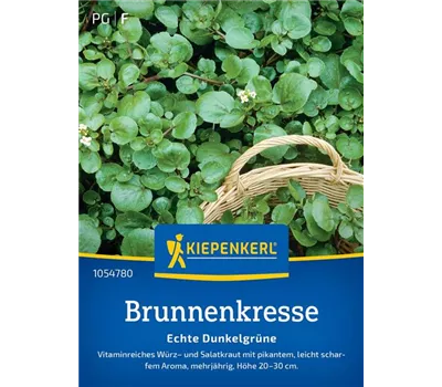 Brunnenkresse Echte Dunkelgrüne